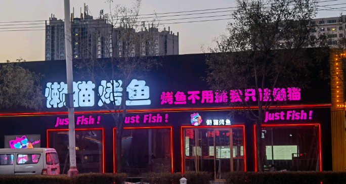 丰宁懒猫正餐服务店上线餐饮会员管理系统